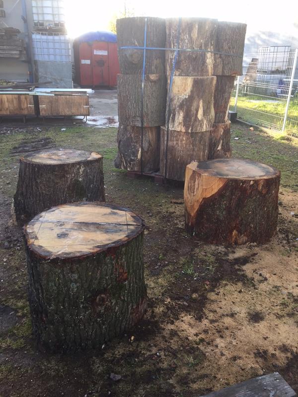 gezaagde bomen 65 cm diameter